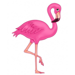 Flamingo Oasis Hotels and Resorts