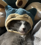 あさま