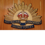 The Savage Military Force