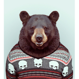 Bear's HomeStore!!!!