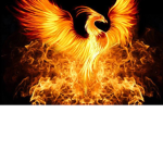 PHOENIX STUDlOS