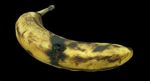 Slimy Bananas