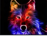 COOL SQAUD!!!!