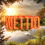 Nettio - PLC