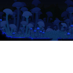 Terrarians of terraria.