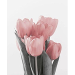 Tulips Hangout