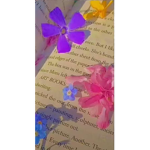 هاي معاكم هًًًًاًًجًًرًًً