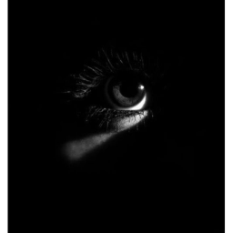 Ａｌｏｎｅ Ｉｎ Ｔｈｅ Ｄａｒｋｎｅｓｓ