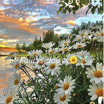 Faiirys daisy's