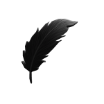 Black Feather