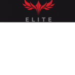The Elite Gamers of Darkness