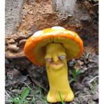 The Mushroom Brotherhood