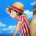 Monkey D Luffy Crew