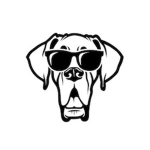 the#dogteam