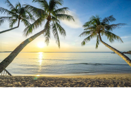 Paradise Hangout.