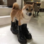 TH0S3 WH0 KN0W