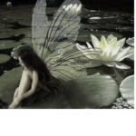 Fairycorez