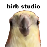 Birb’s studio