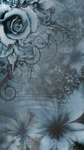 *. Ava’s apparel .*