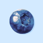 Blueberries Studios
