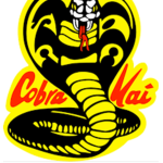 Cobra kai ####