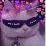 ntbqc