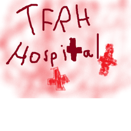 THE FUN ROBLOX HOSPITAL!