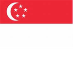 Singaporean Security Squad -SSS-
