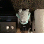 Pizza shark fan club