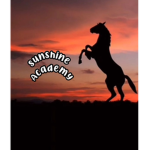 +sunshine academy+
