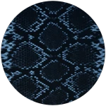 Snake Skin 7