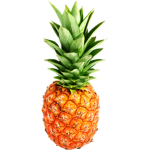 The toootieandfruitie shop