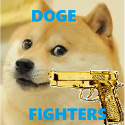 DOGE training