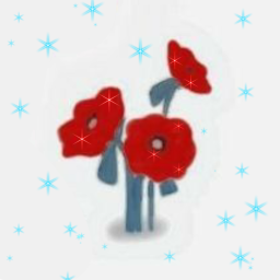 ꒰🌹꒱
