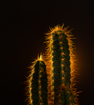 Mexican studio’s by Axel