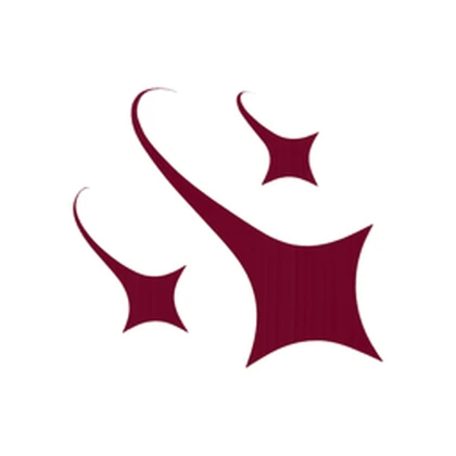 Stars Companyy Roblox group icon