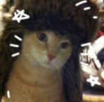 Hai I made this for no reason