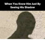 The shadowed beings