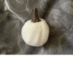 Pumpkins white pumpkins