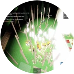 the "nobody's buying this" donation