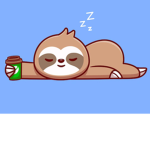COOL SLOTHS!