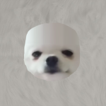 TobbytysTeam