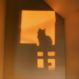 𝙞 𝙨𝙪𝙧𝙫𝙞𝙫𝙚𝙙
