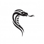 Ssnakes Group :>