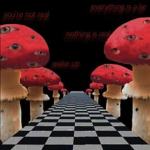 Chaotic_Humans