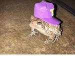 FROGS_GODSCLAN