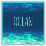 0CEAN.