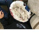 Smore and Blu