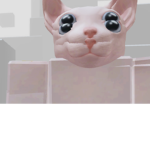 Friends on Roblox The App