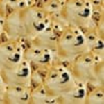 ..doge co..